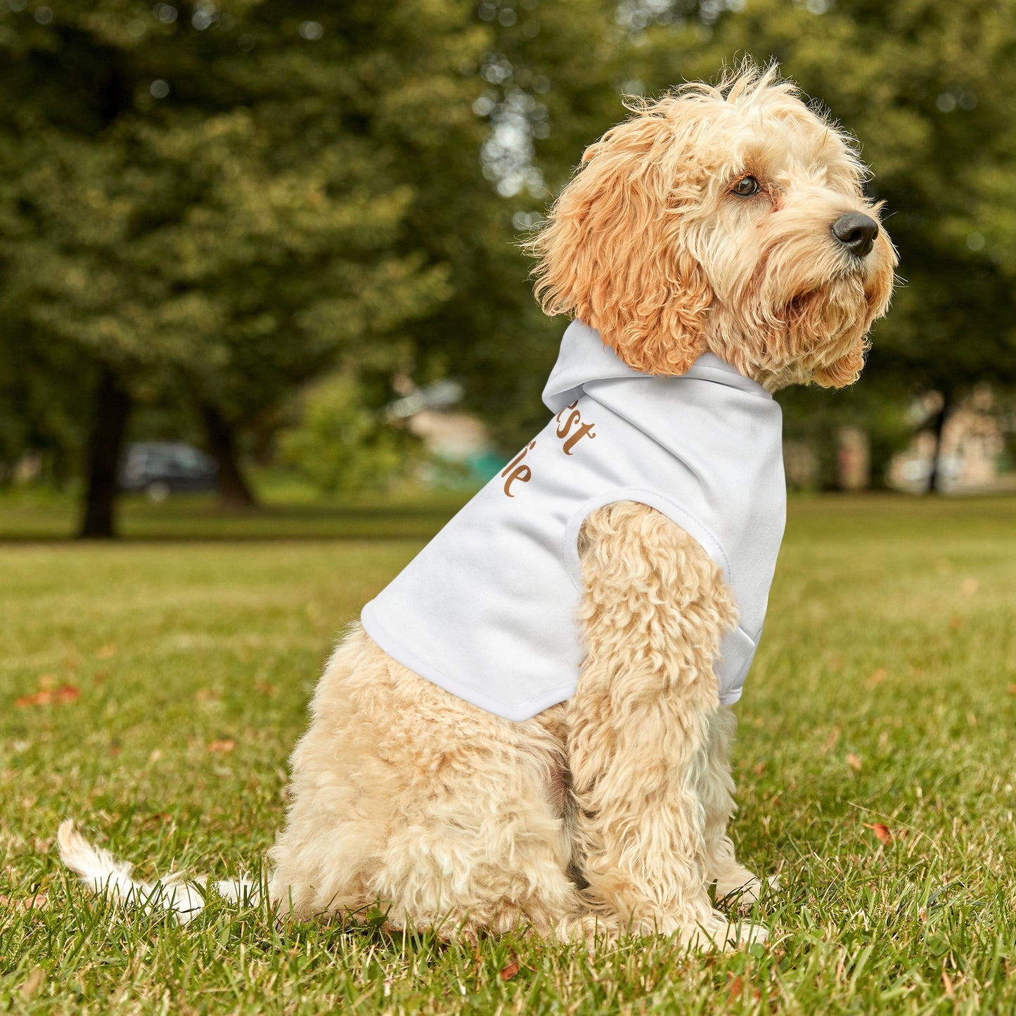 Bestest Bestie Pet Hoodie