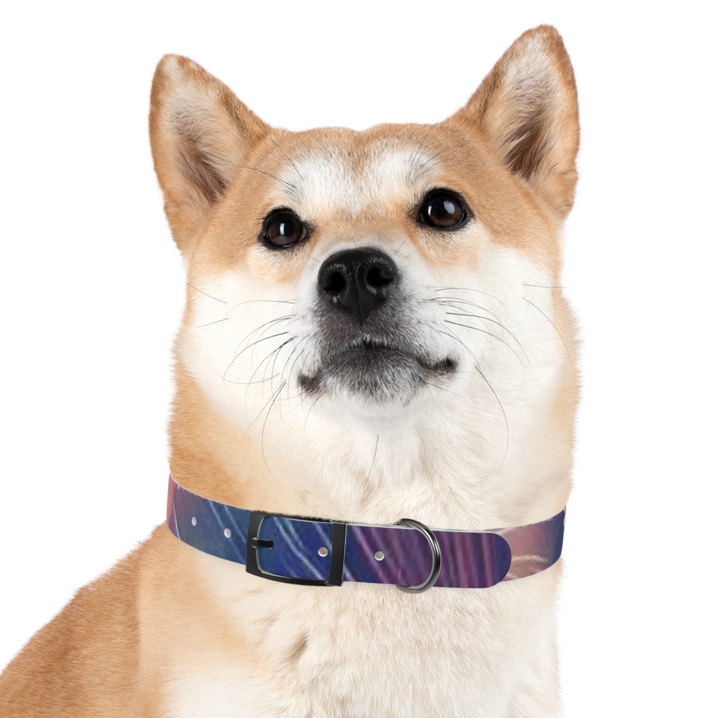 Nebula Fireworks Dog Collar