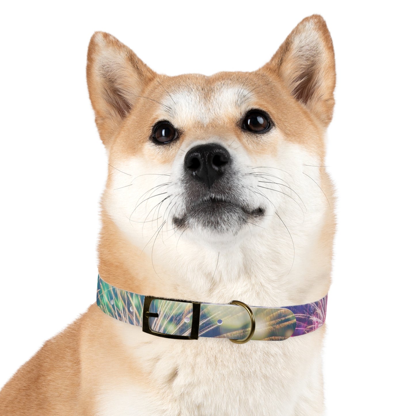 Fireworks Dog Collar - Dark