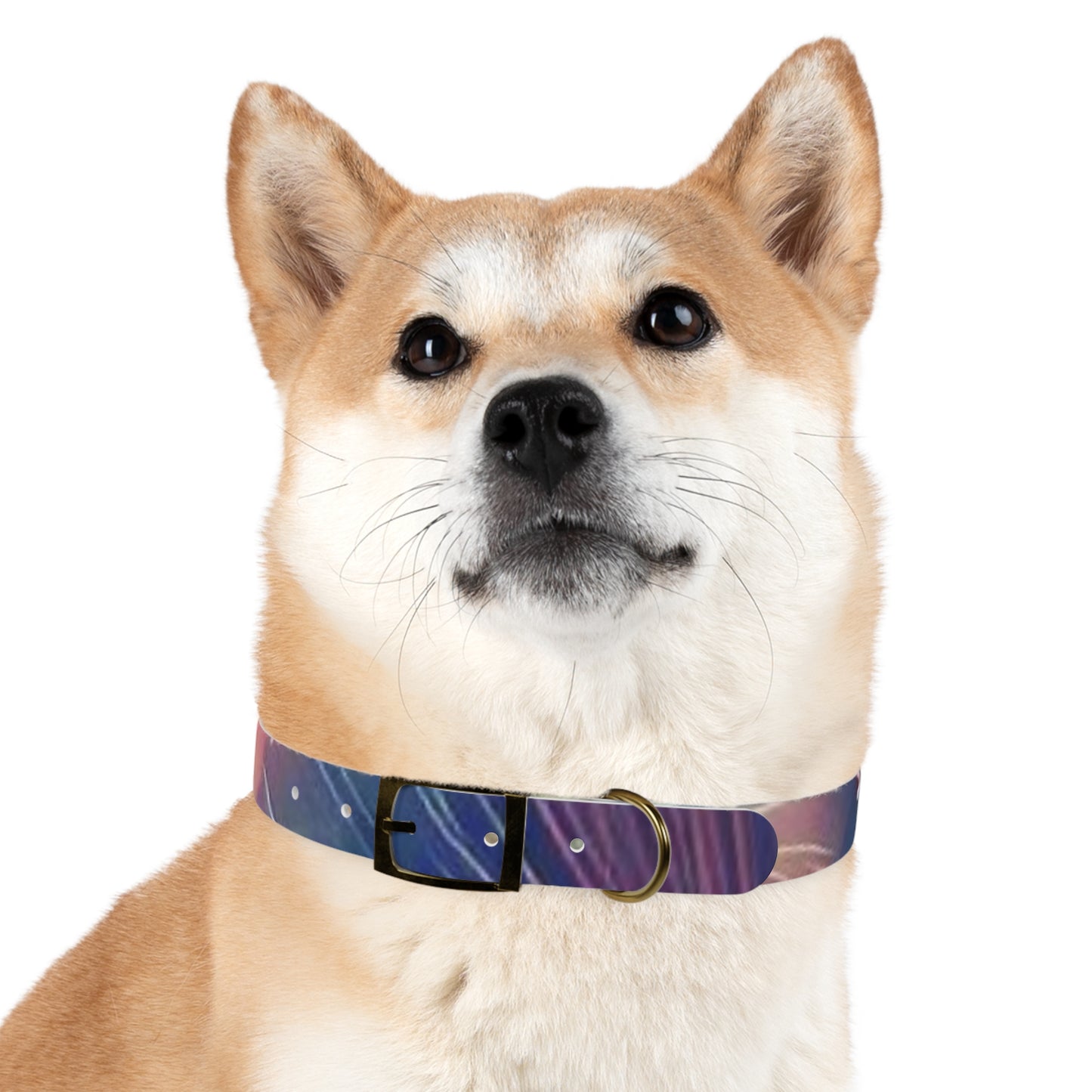 Nebula Fireworks Dog Collar