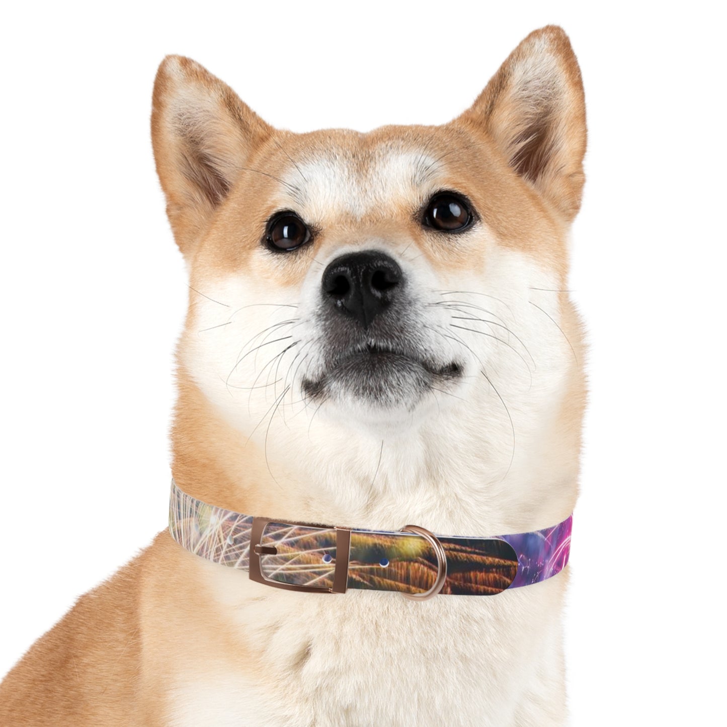 Fireworks Dog Collar - Dark