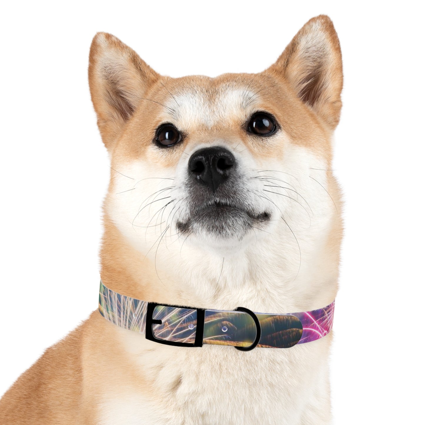 Fireworks Dog Collar - Dark