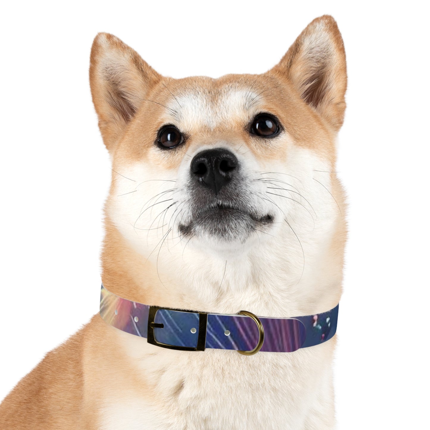 Nebula Fireworks Dog Collar