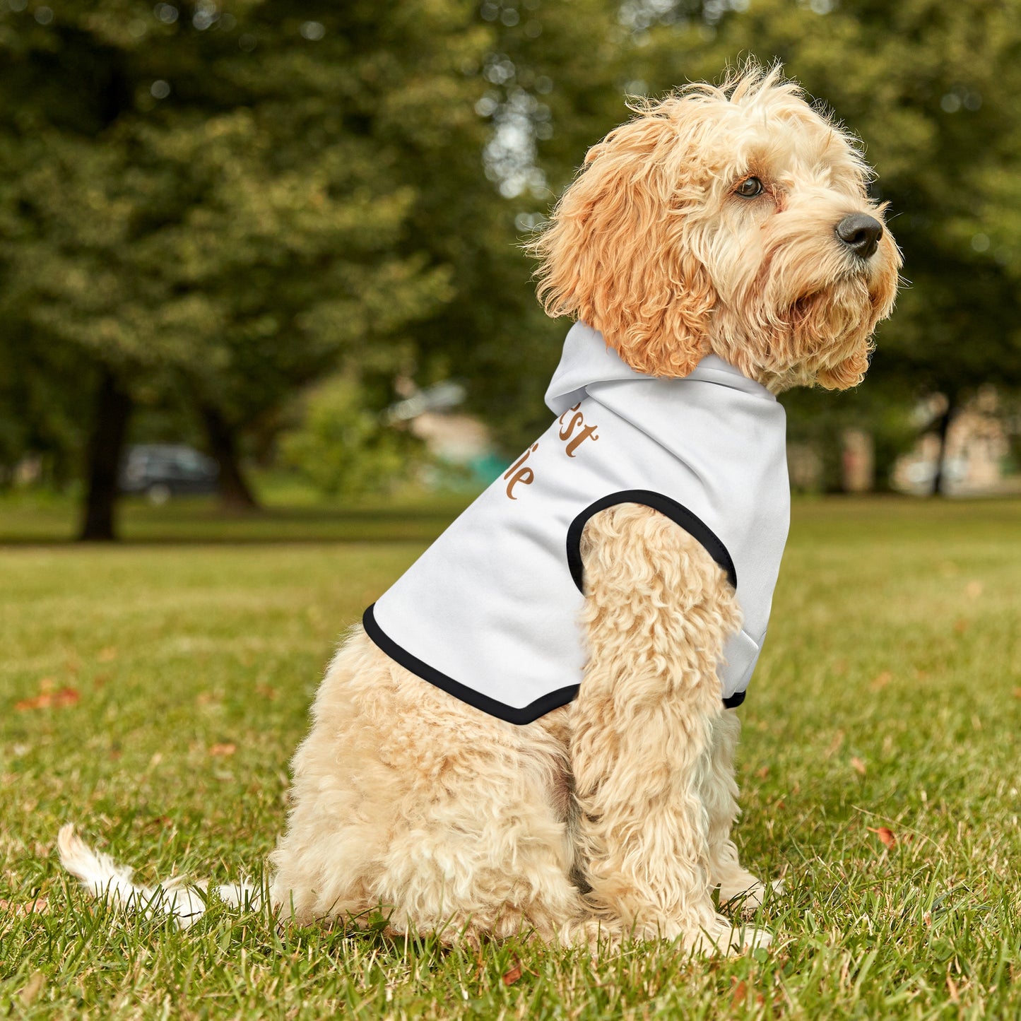 Bestest Bestie Pet Hoodie