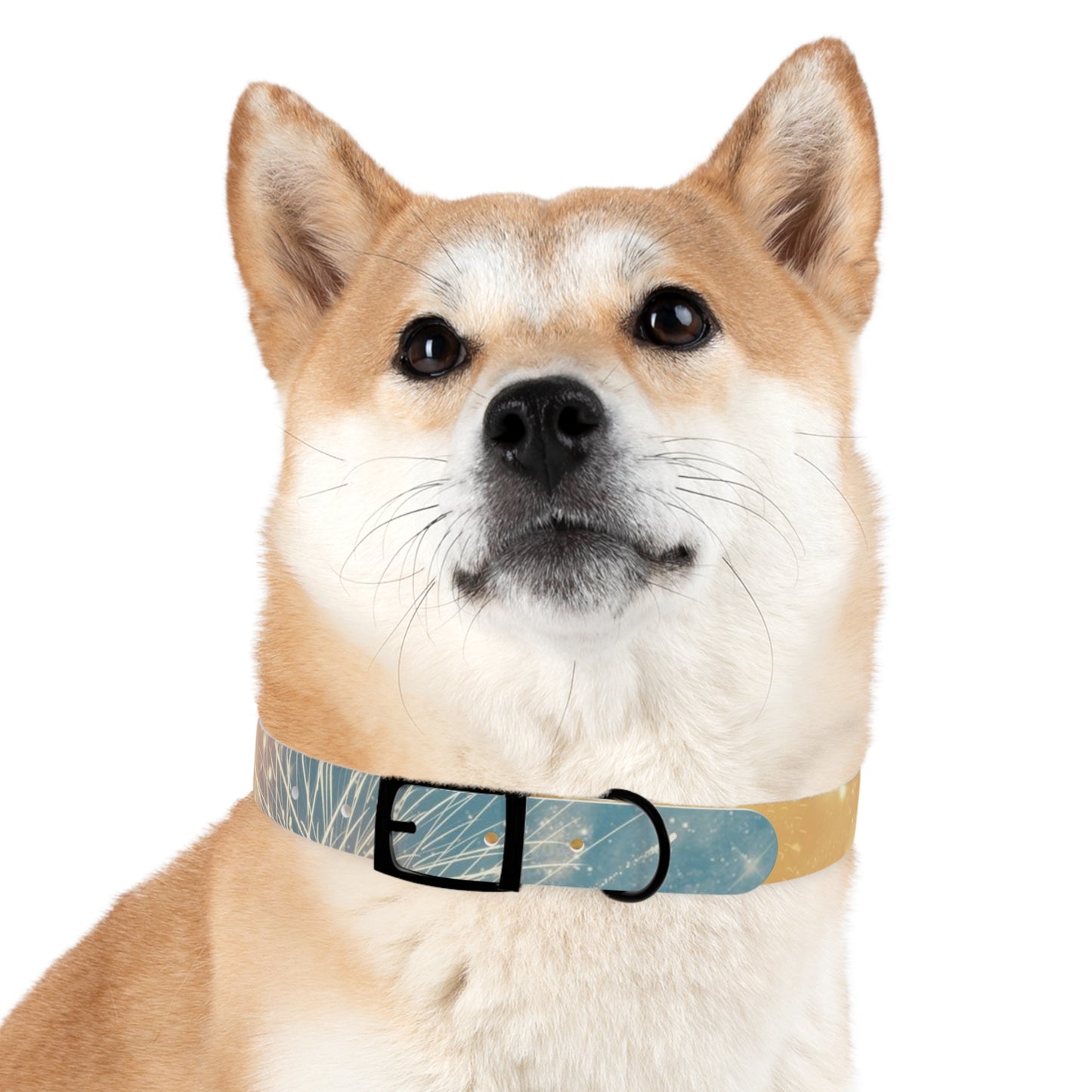 Fireworks Dog Collar - Light