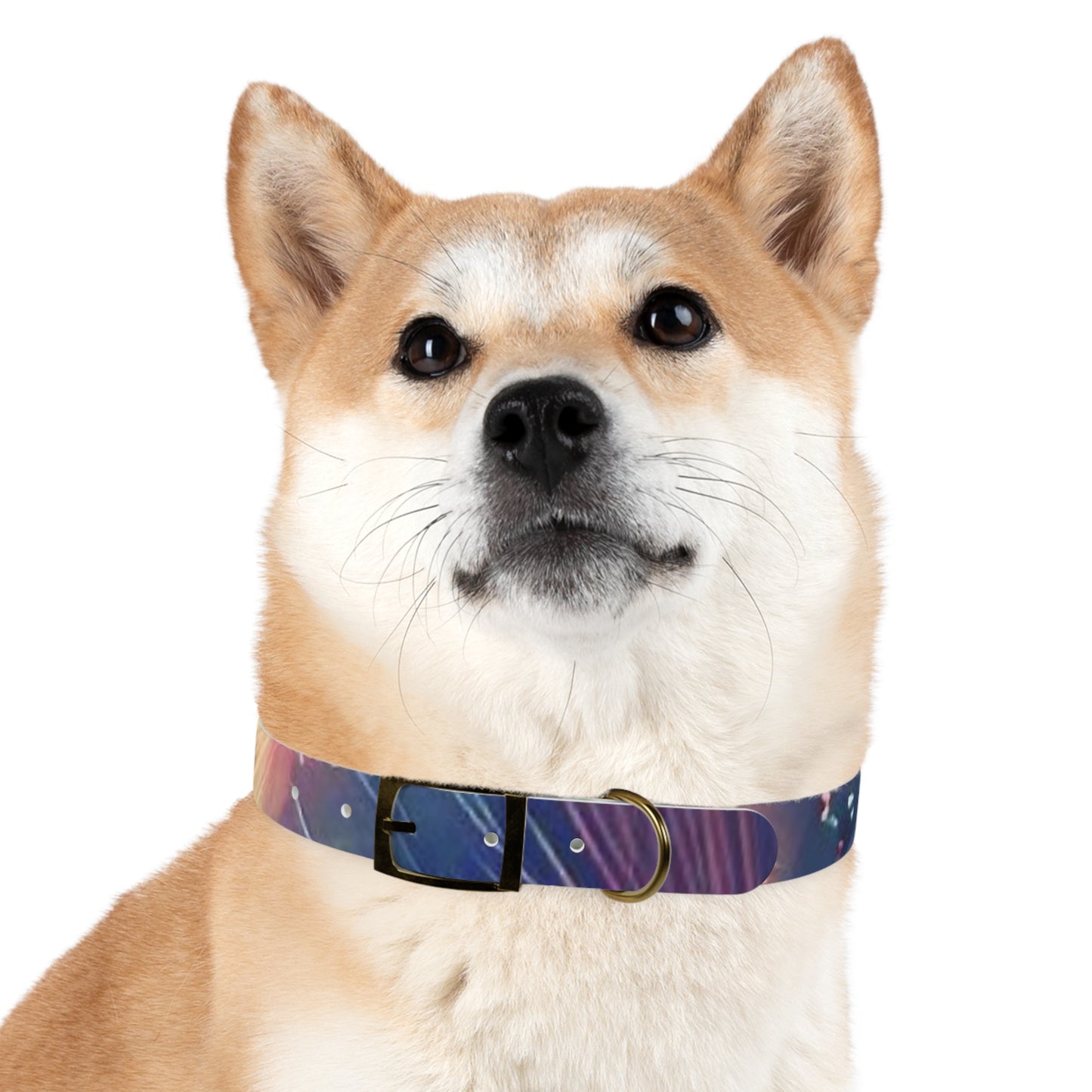 Nebula Fireworks Dog Collar